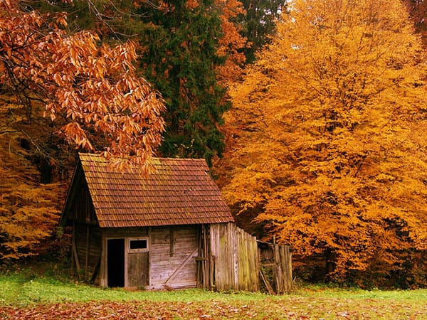 Fooled by Randomness